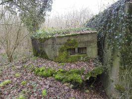 Ligne Maginot - AB32-B - LANDERT OUEST - (Blockhaus pour canon) - L'avancée pour tir au FM.