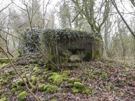 Ligne Maginot - AB32-B - LANDERT OUEST - (Blockhaus pour canon) - L'un des créneaux pour FM.