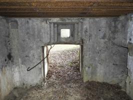 Ligne Maginot - AB29-C - BOIS DU CASTEL - (Blockhaus pour canon) - La chambre de tir.