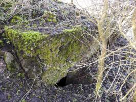 Ligne Maginot - DORRWIESE 1 - (Abri) - L'entrée du blockhaus.