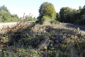 Ligne Maginot - SCHLOSSWALD 3 - (Blockhaus pour arme infanterie) - 