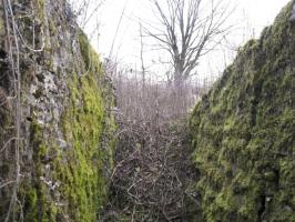 Ligne Maginot - DIEDING 1  (AVANT POSTE) - (Blockhaus pour arme infanterie) - L'accès au blockhaus