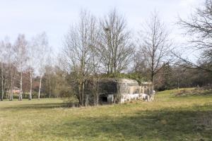 Ligne Maginot - GALLENMUEHLE 1 - (Blockhaus pour arme infanterie) - Vue générale