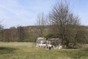 Ligne Maginot - GALLENMUEHLE 1 - (Blockhaus pour arme infanterie) - Vue générale