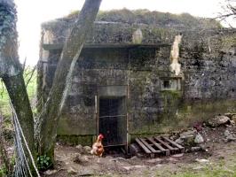 Ligne Maginot - PIFFERSRAEDCHEN 3 - (Blockhaus pour arme infanterie) - L'entrée et le créneau FM