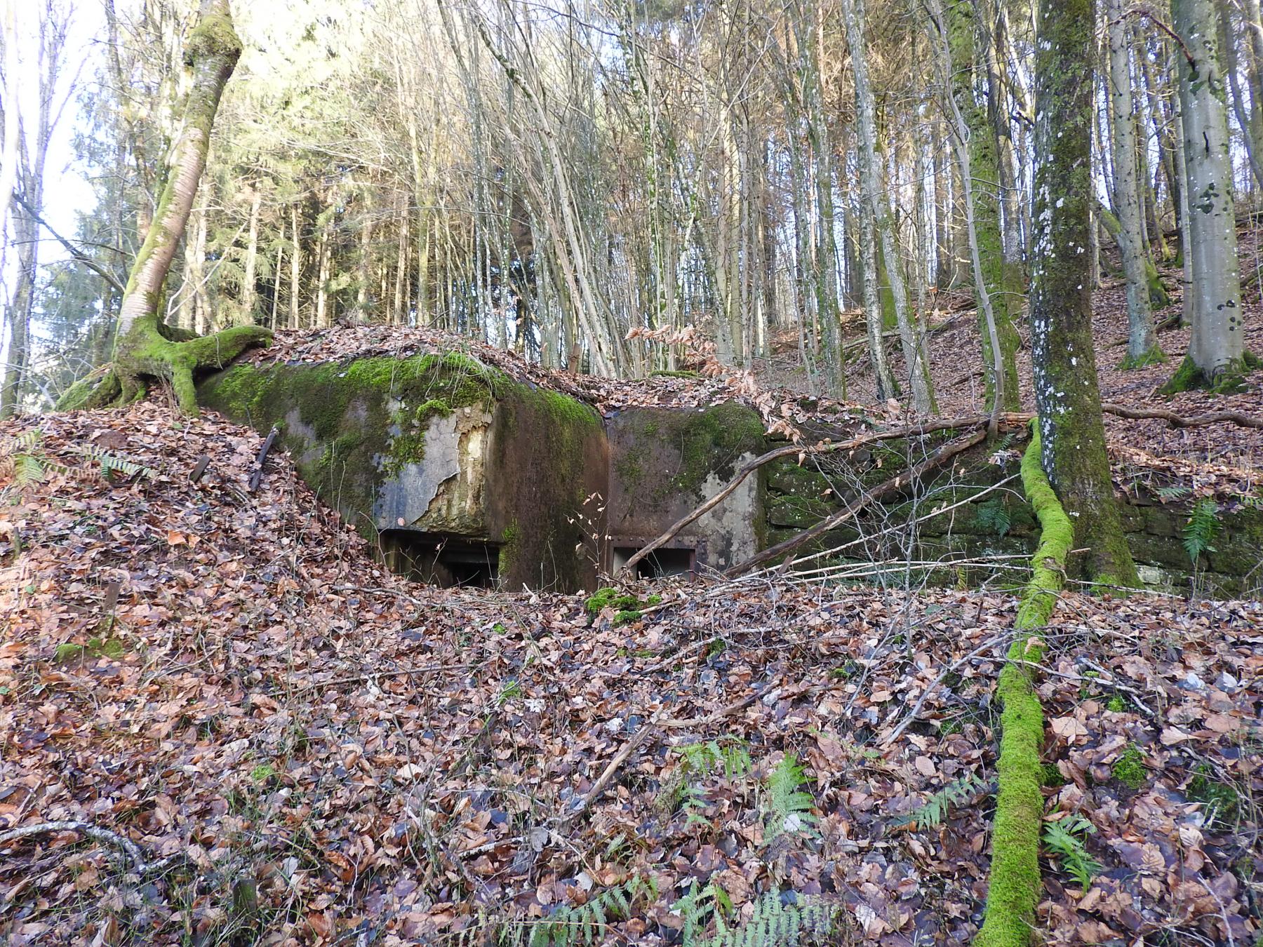 Ligne Maginot - FROHMUEHL SUD - (Blockhaus pour arme infanterie) - La façade arrière du blockhaus.