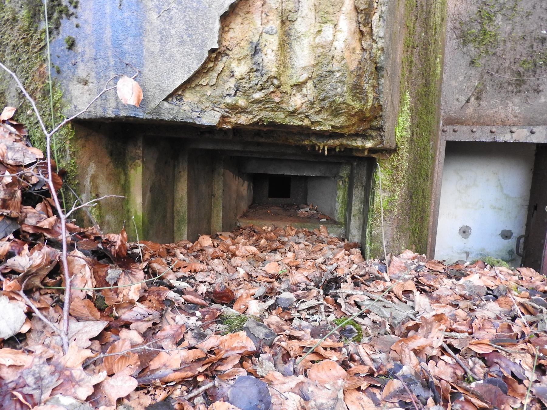 Ligne Maginot - FROHMUEHL SUD - (Blockhaus pour arme infanterie) - Le créneau pour FM.