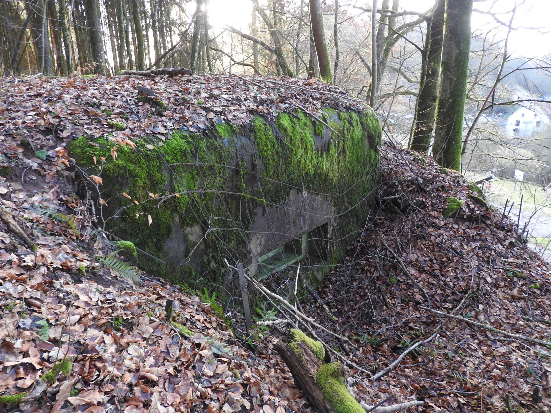 Ligne Maginot - FROHMUEHL SUD - (Blockhaus pour arme infanterie) - La façade de tir. Noter la présence du grillage de camouflage.