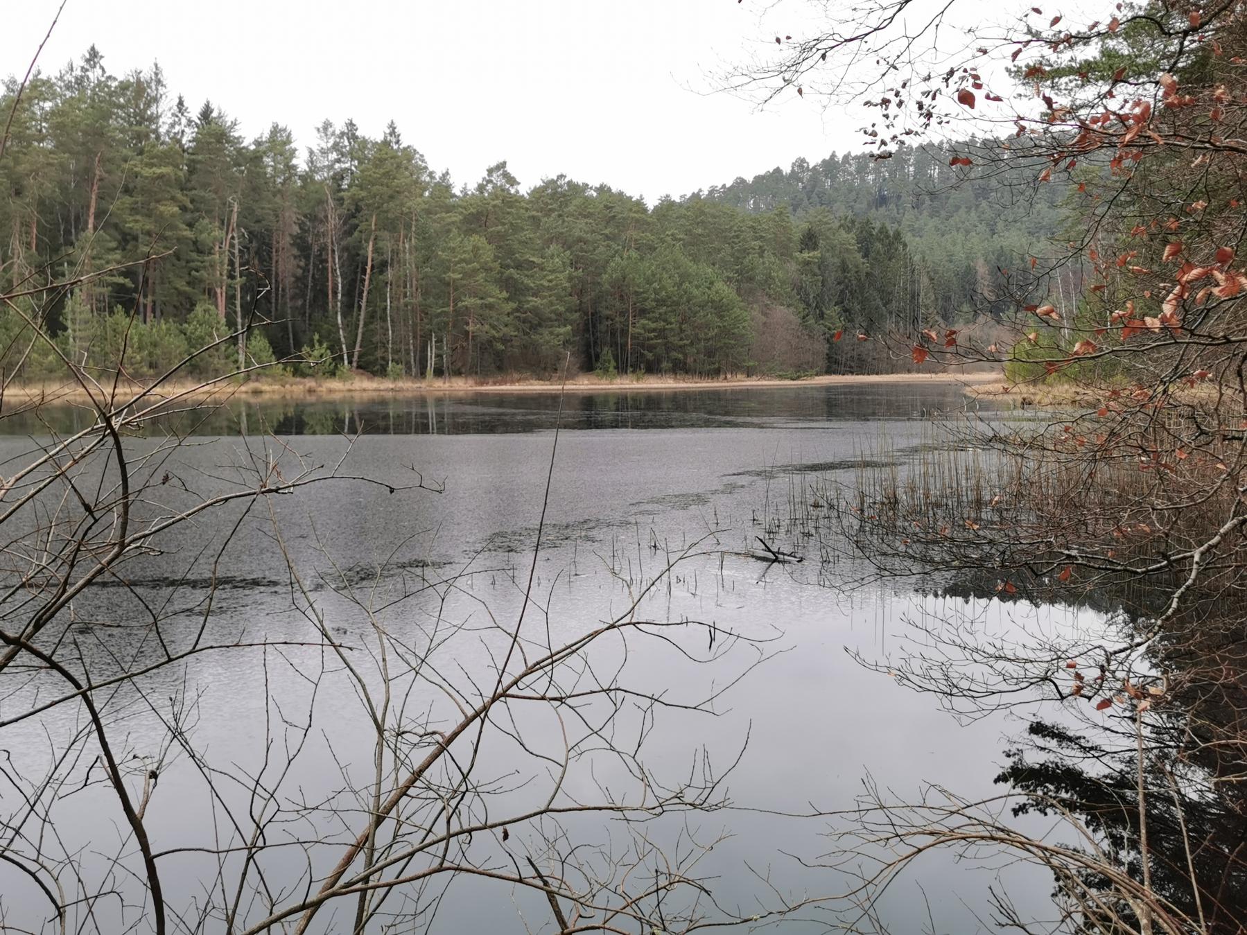 Ligne Maginot - WELSCHKOBERTWEIHER (ETANG-RéSERVOIR) - (Inondation défensive) - 