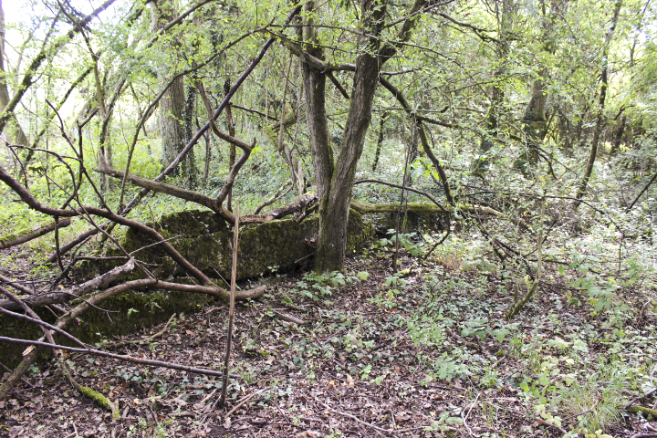 Ligne Maginot - PUTTELANGE - (Camp de sureté) - La limite du camp coté Nord, muret