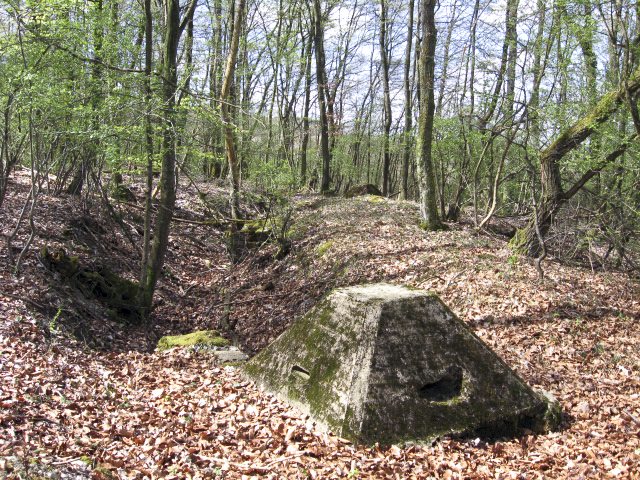 Ligne Maginot - COTE 270 - (Observatoire d'artillerie) - 