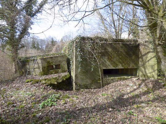 Ligne Maginot - Ab32-B - LANDERT Ouest (Blockhaus pour canon) - 