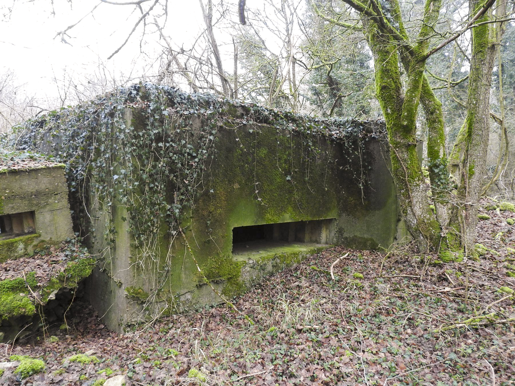 Ligne Maginot - AB32-B - LANDERT OUEST - (Blockhaus pour canon) - La façade de tir pour un canon anti-char.