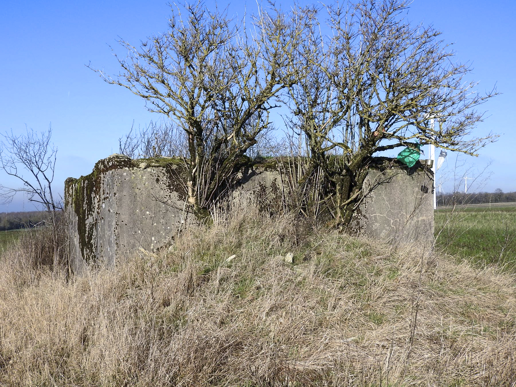 Ligne Maginot - SCHLANGENSTUCK 4 - (Blockhaus pour arme infanterie) - La façade de tir en 2022 remblayée.