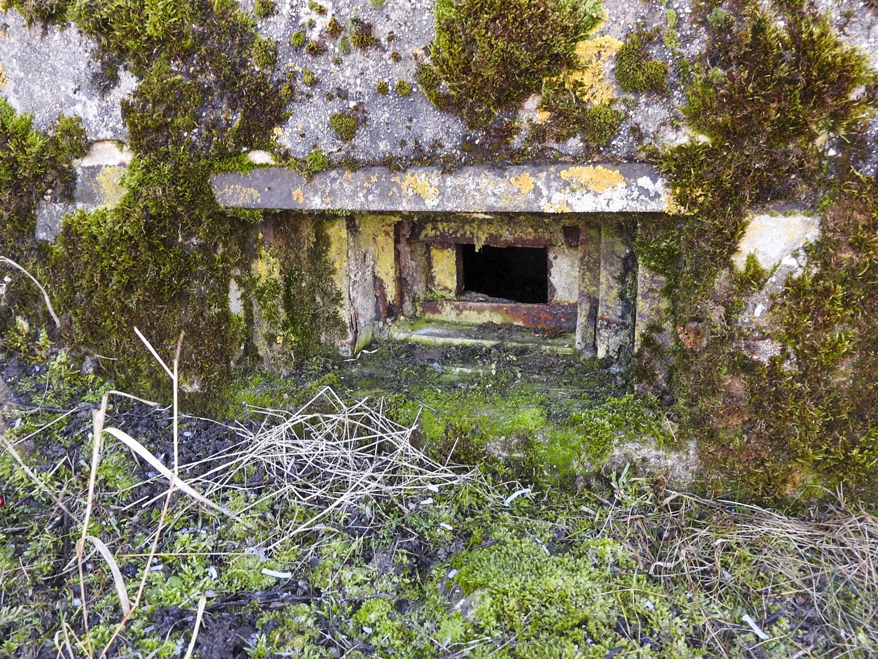 Ligne Maginot - SCHLANGENSTUCK 2 - (Blockhaus pour arme infanterie) - Le créneau pour un FM.