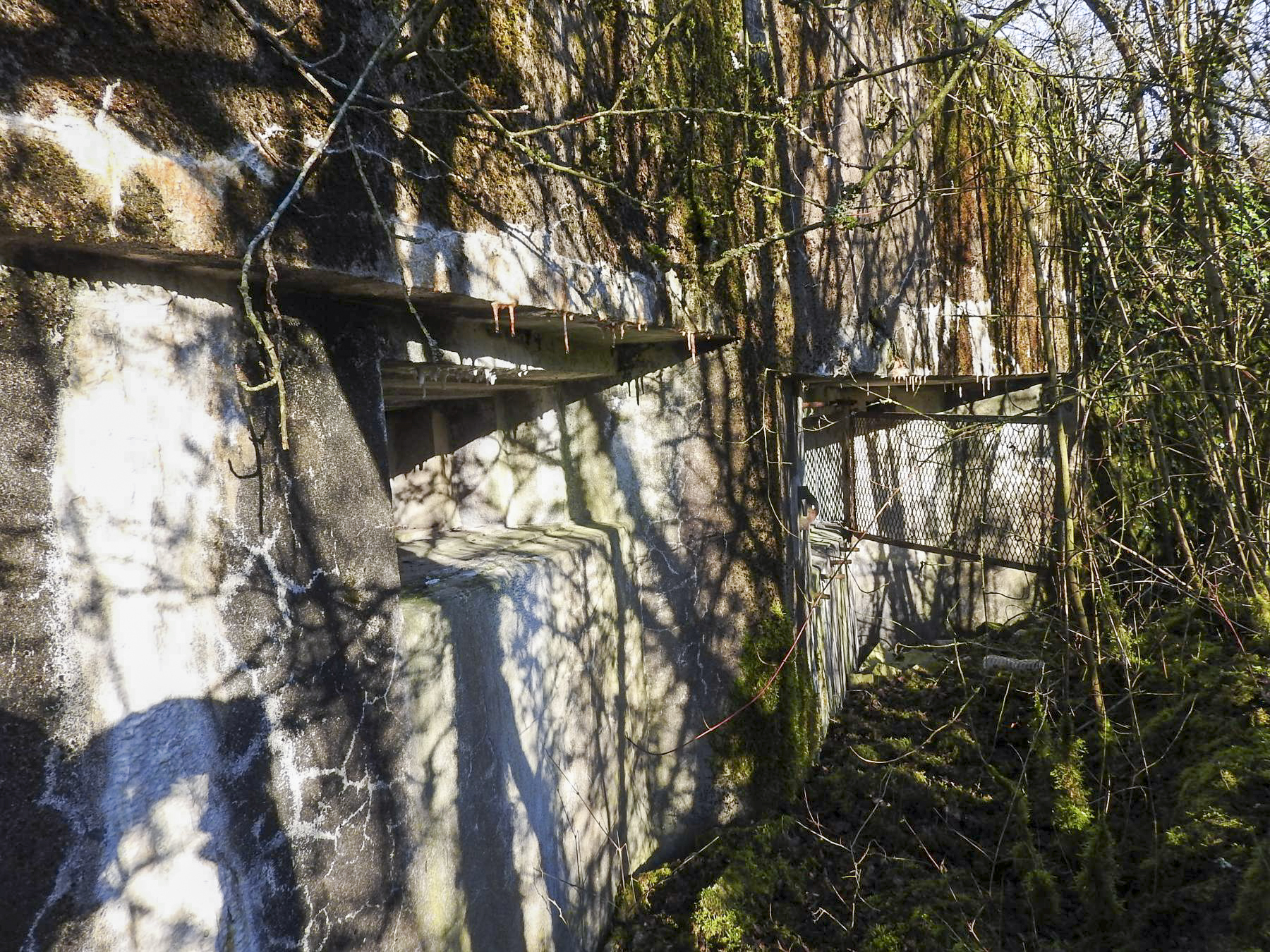 Ligne Maginot - AB29 - WITZ 2 - (Blockhaus pour canon) - La façade de tir.