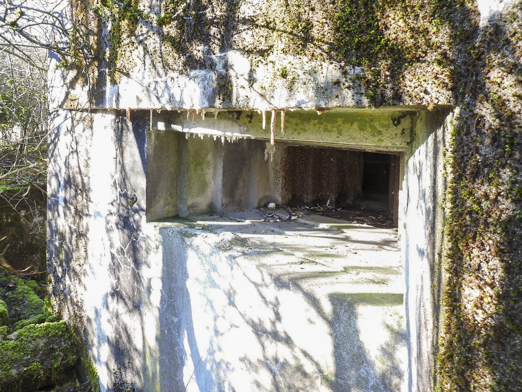 Ligne Maginot - AB29 - WITZ 2 - (Blockhaus pour canon) - Le créneau mitrailleuse.