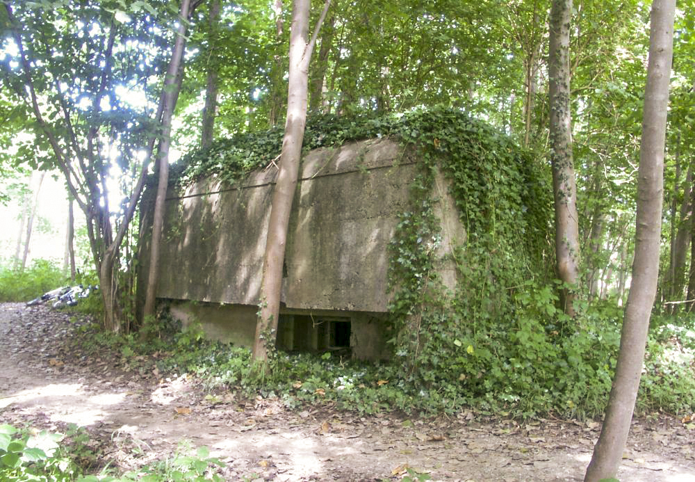 Ligne Maginot - HECKENWALD Sud (Blockhaus pour arme infanterie) - 