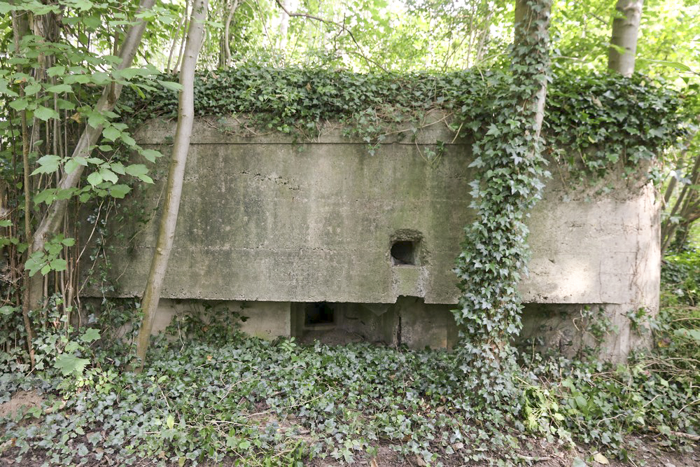 Ligne Maginot - HECKENWALD SUD - (Blockhaus pour arme infanterie) - 