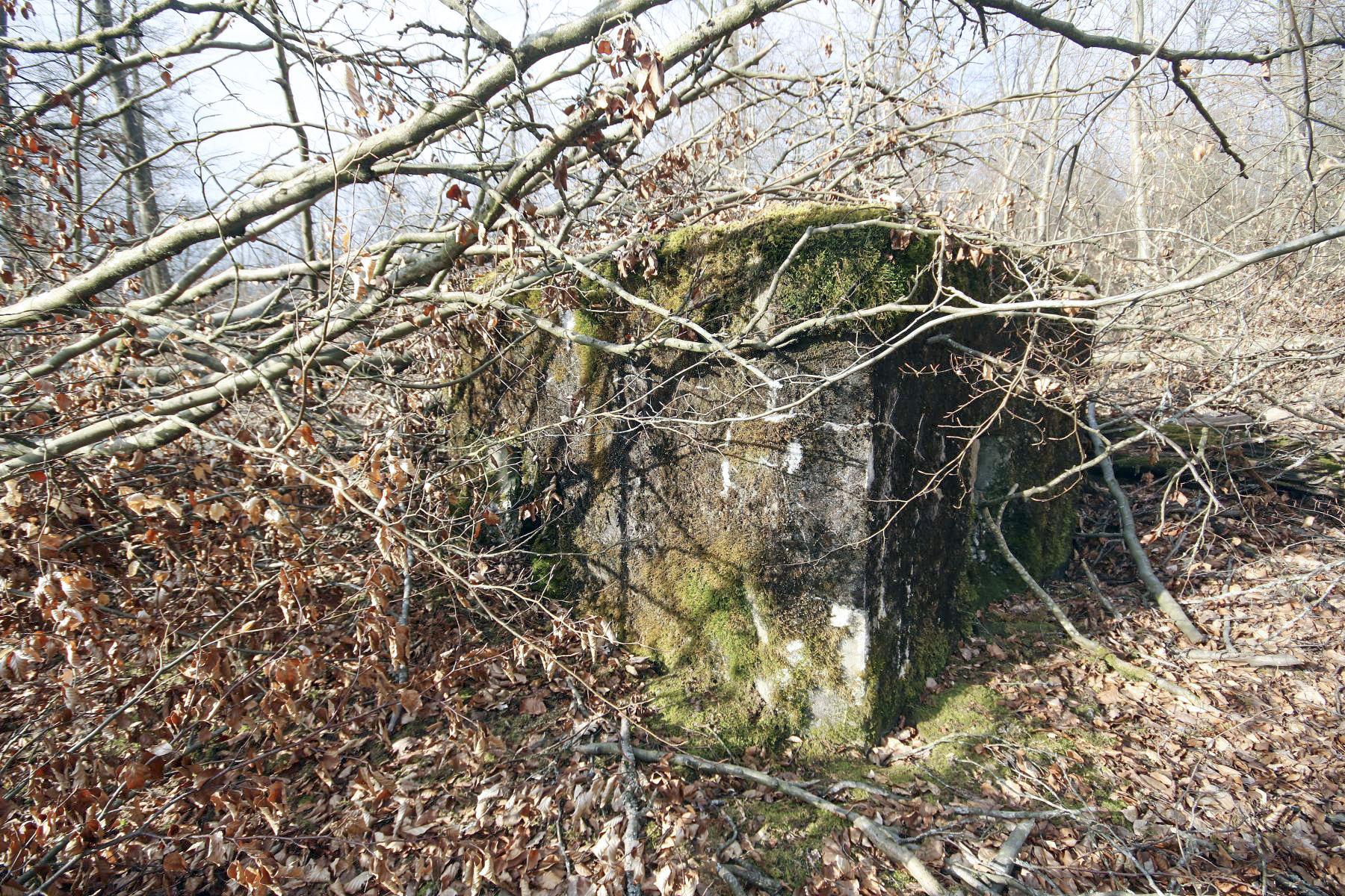 Ligne Maginot - KISSWALD 3 - (Blockhaus pour arme infanterie) - 