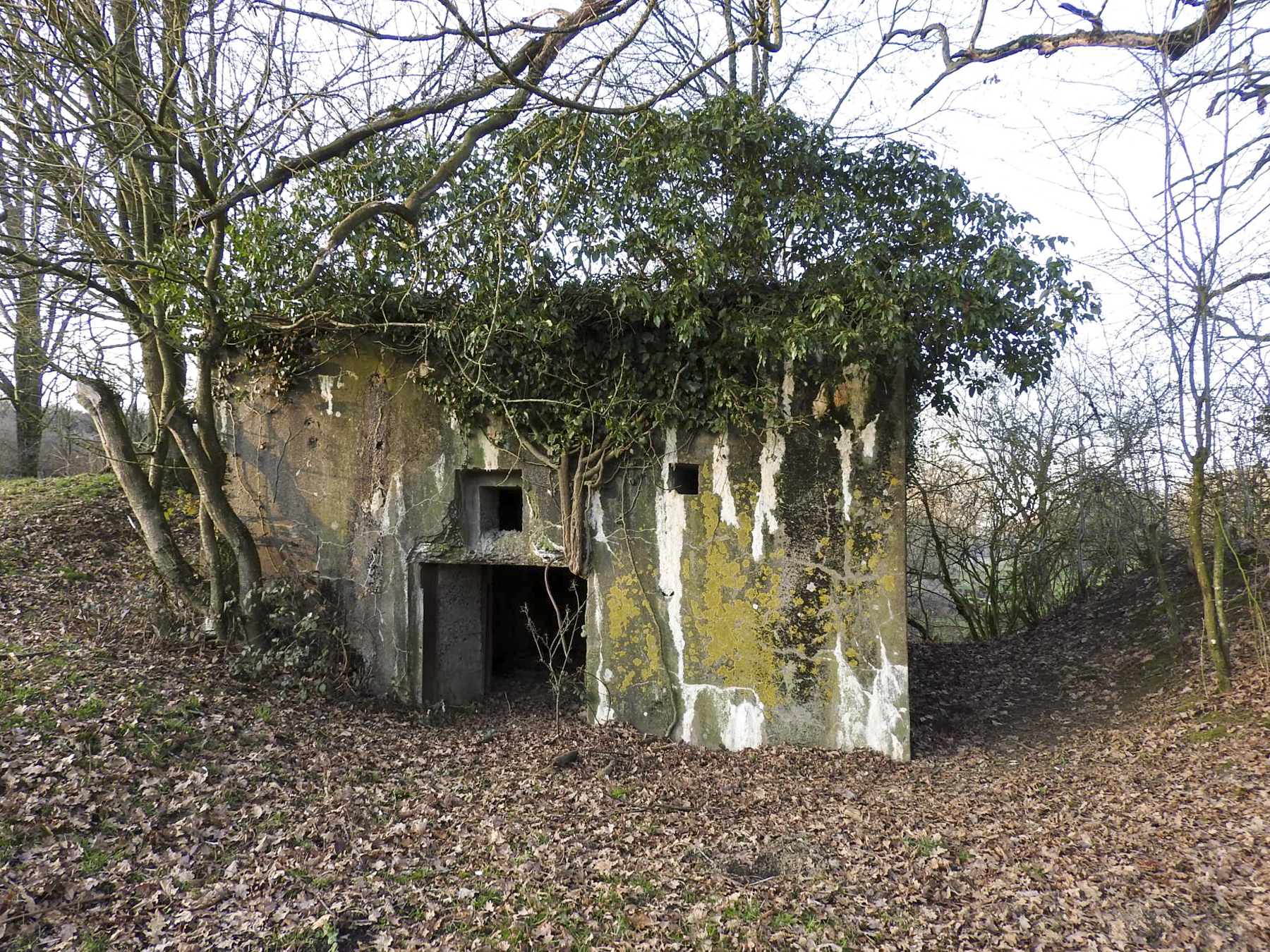 Ligne Maginot - AB29-C - BOIS DU CASTEL - (Blockhaus pour canon) - L'entrée du canon anti-char.