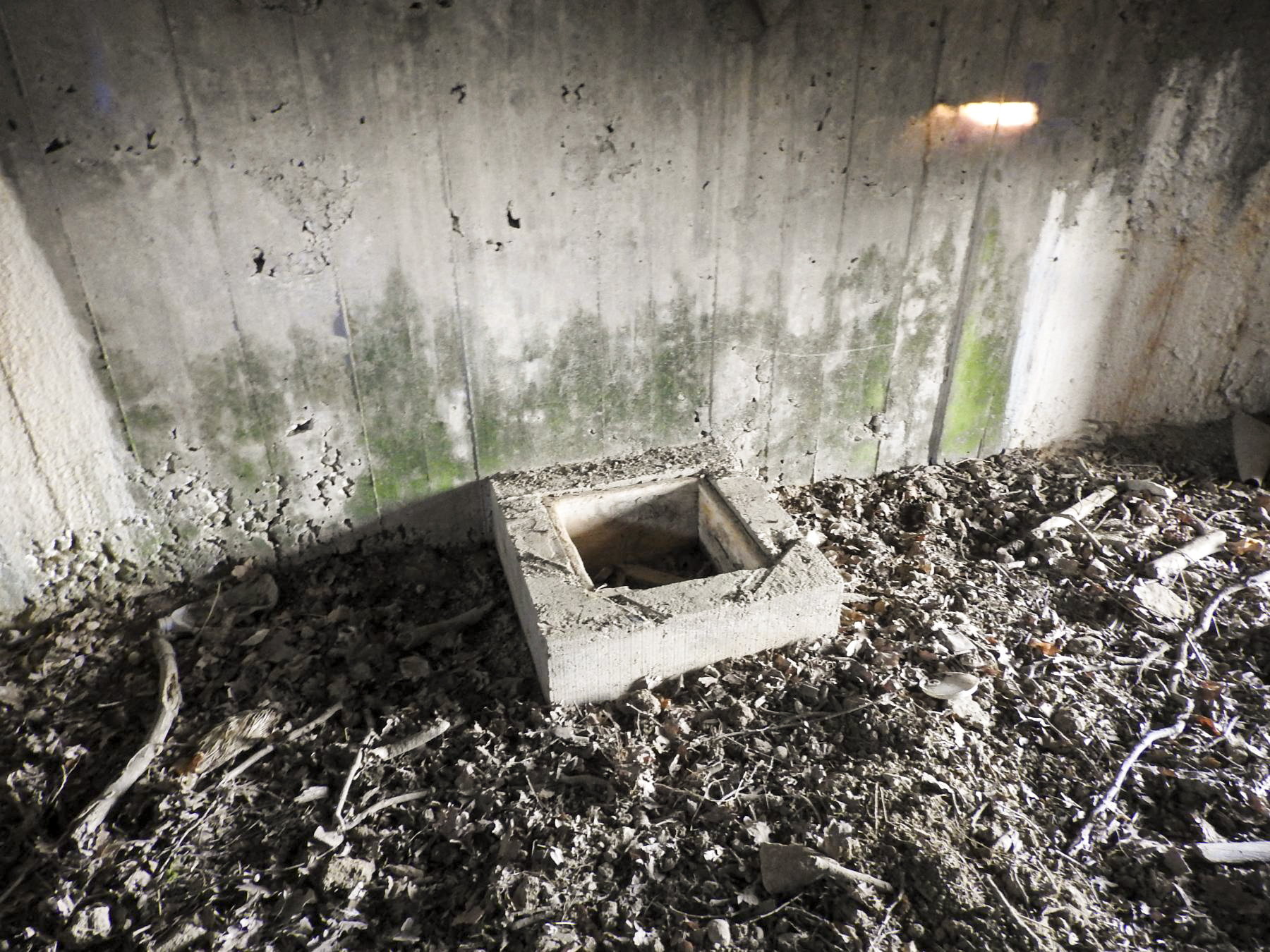 Ligne Maginot - AB29-C - BOIS DU CASTEL - (Blockhaus pour canon) - L'un des plots de bloquage du canon.