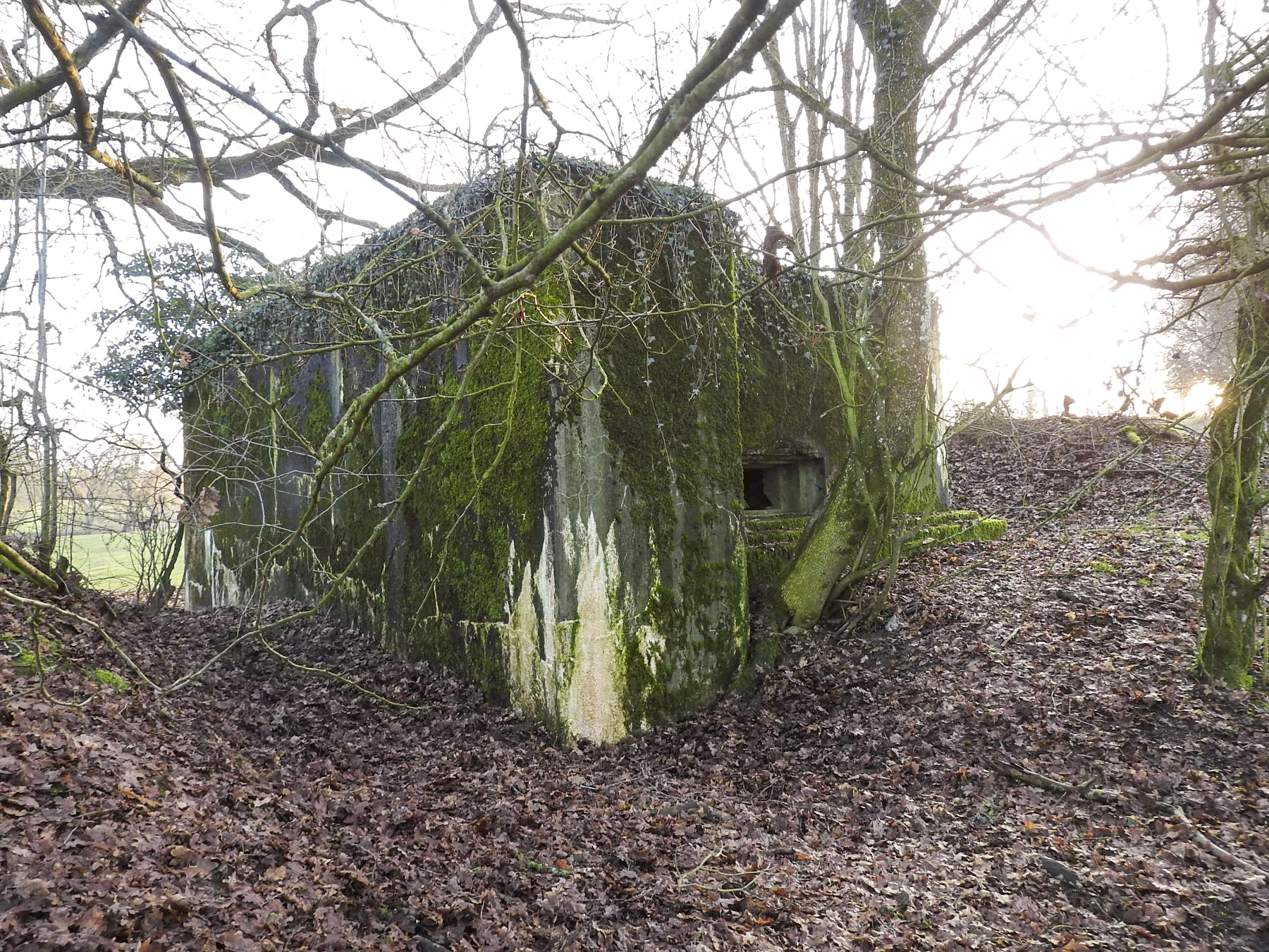 Ligne Maginot - AB29-C - BOIS DU CASTEL - (Blockhaus pour canon) - La façade de tir du blockhaus.