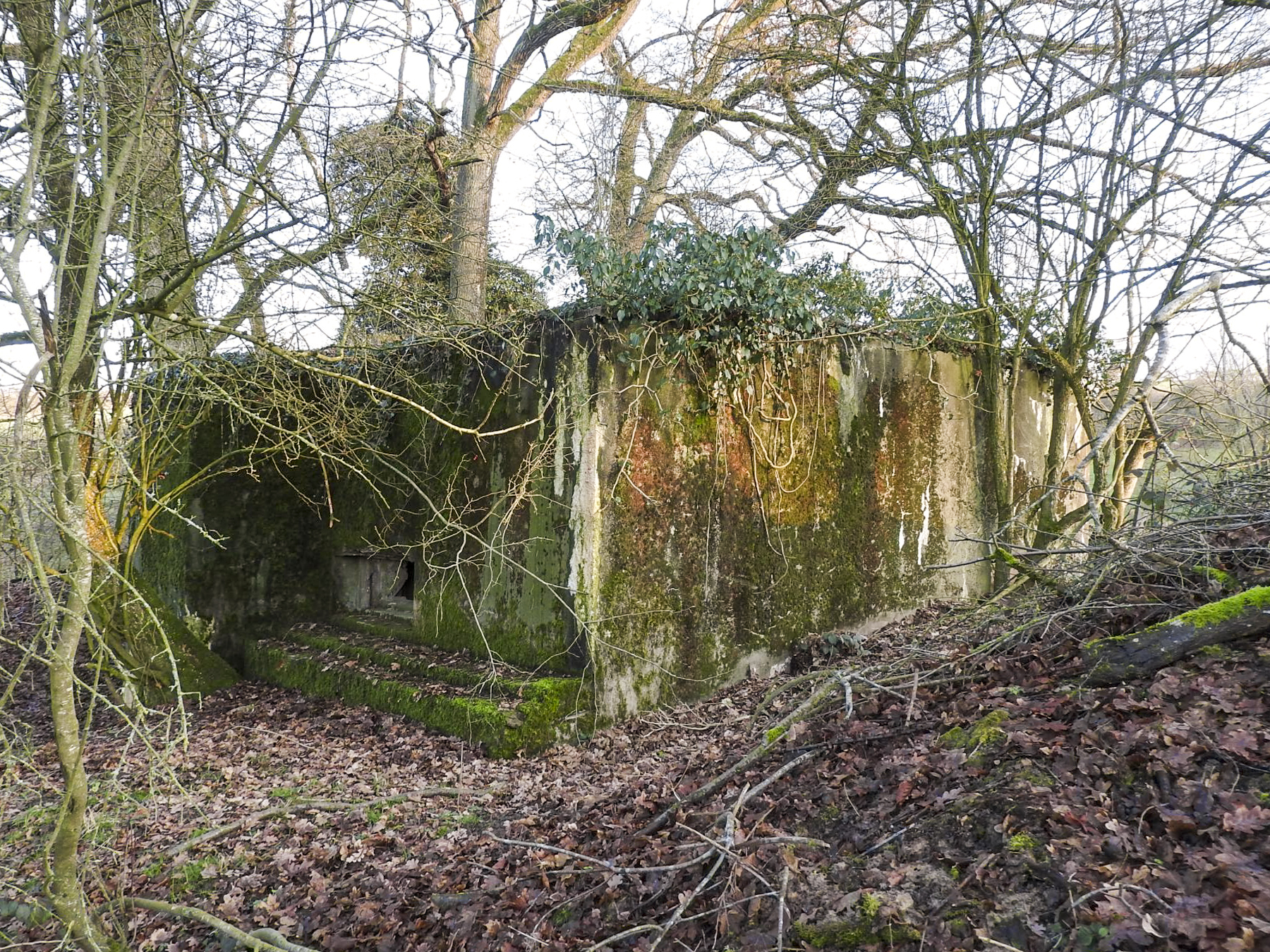 Ligne Maginot - AB29-C - BOIS DU CASTEL - (Blockhaus pour canon) - La façade de tir.