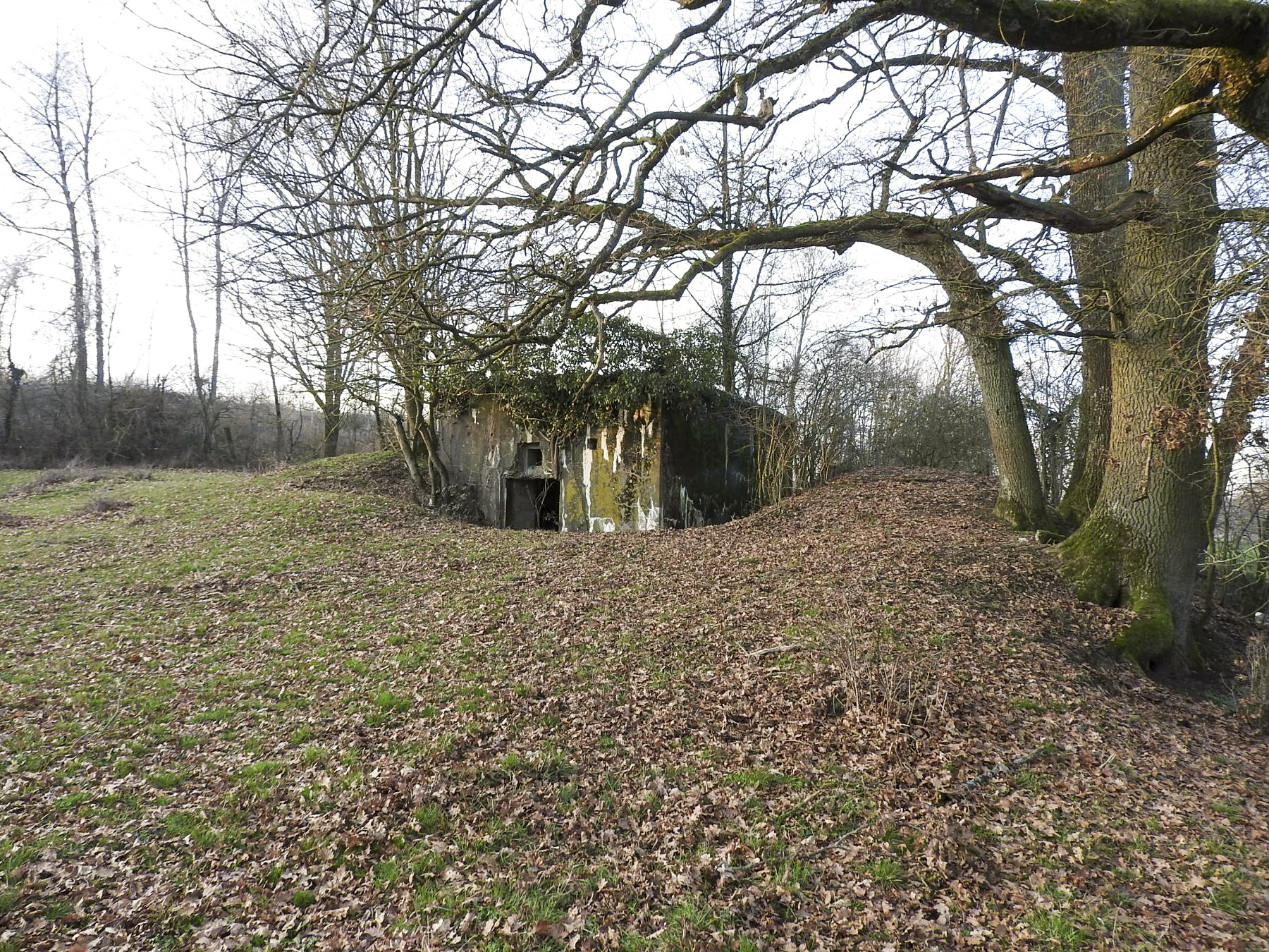 Ligne Maginot - AB29-C - BOIS DU CASTEL - (Blockhaus pour canon) - 