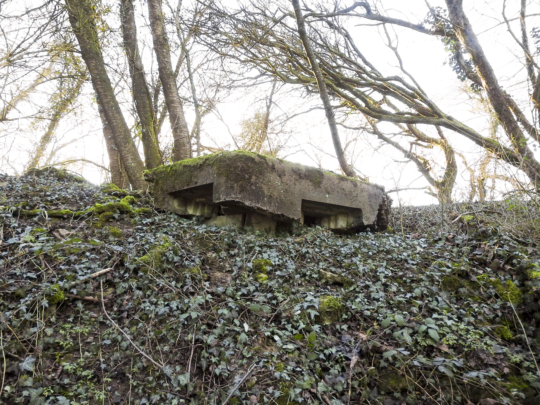 Ligne Maginot - KLEIBORN 3 - (Blockhaus pour arme infanterie) - La façade avant et ses deux créneaux.