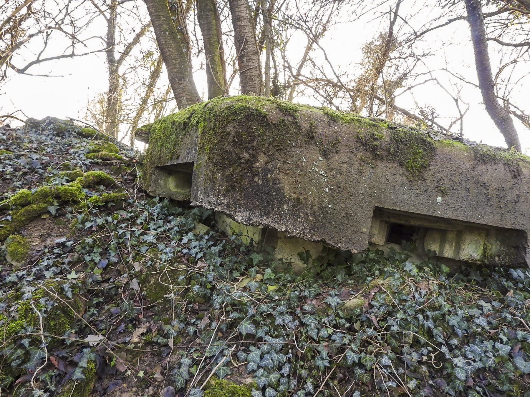 Ligne Maginot - KLEIBORN 3 - (Blockhaus pour arme infanterie) - La façade avant et ses deux créneaux.