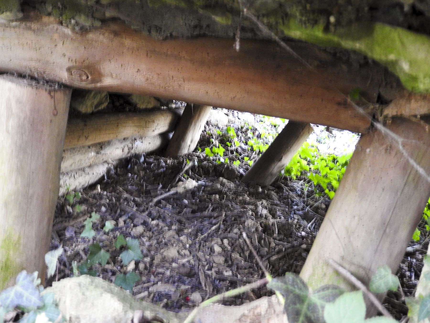 Ligne Maginot - KLEIBORN 3 - (Blockhaus pour arme infanterie) - La structure en rondins du blockhaus.