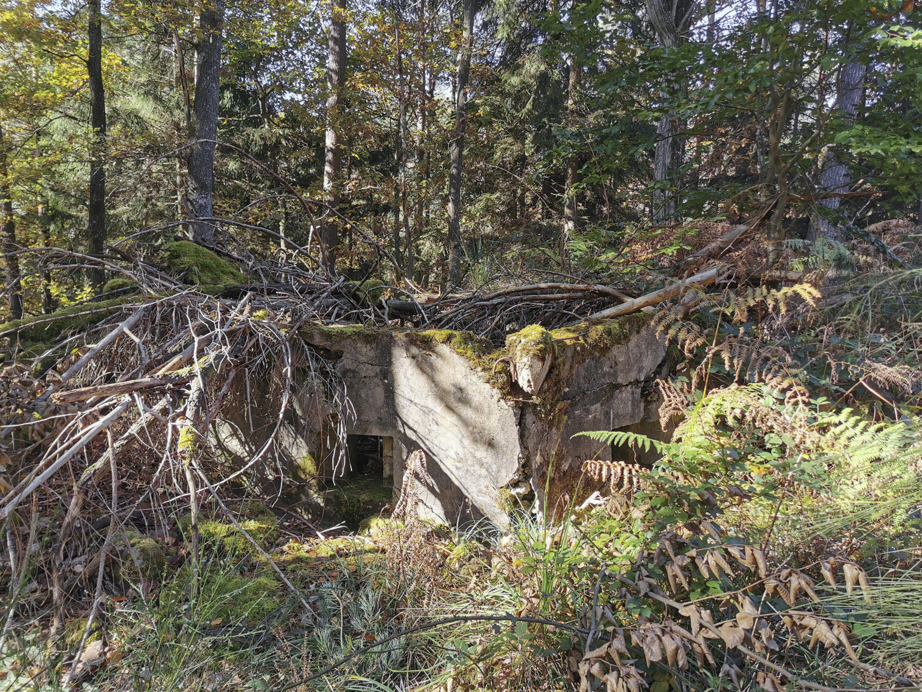 Ligne Maginot - FM92 - JAEGERTHAL 2 - (Blockhaus pour arme infanterie) - 