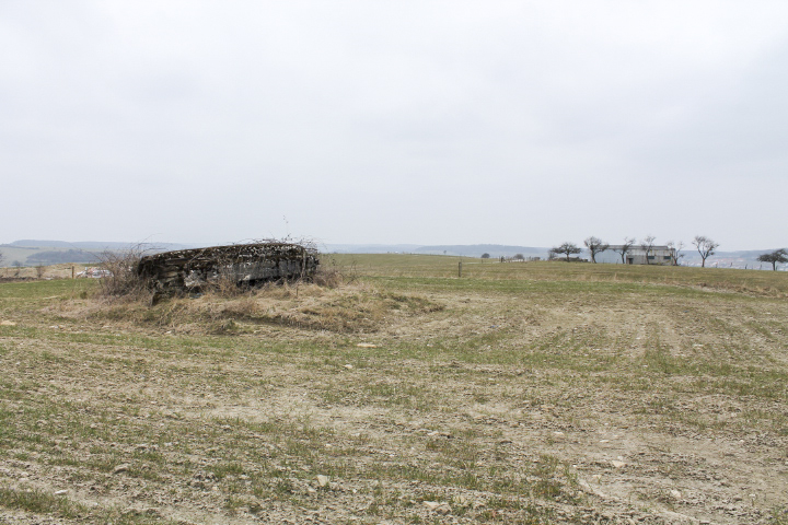 Ligne Maginot - COTE 321 - (Observatoire d'infanterie) - Vue générale