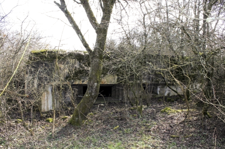 Ligne Maginot - DERCHENBRONN - (Blockhaus pour canon) - Façade de tir ouest