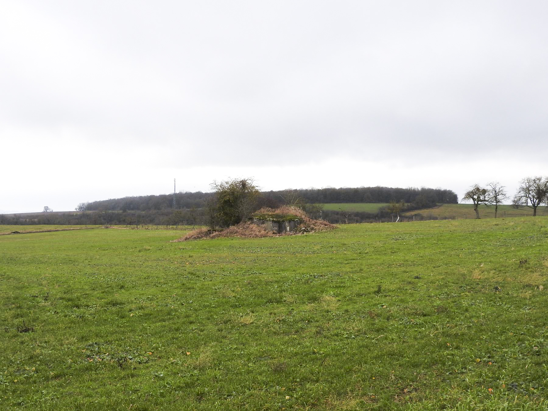 Ligne Maginot - BB25 - HEIMSTOCK EST 6 - MARCELLE - (Blockhaus pour arme infanterie) - Une vue d'ensemble