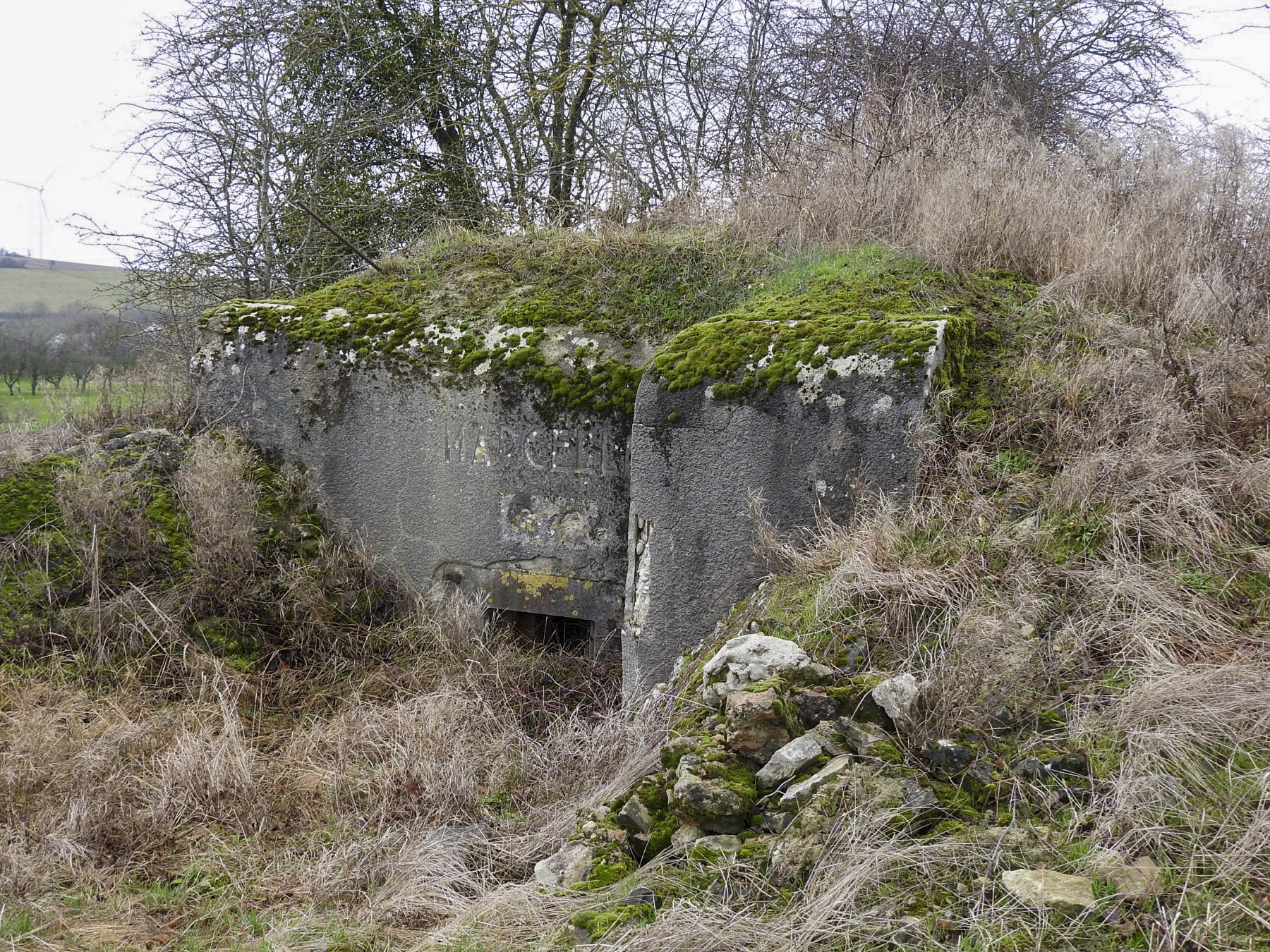 Ligne Maginot - BB25 - HEIMSTOCK EST 6 - MARCELLE - (Blockhaus pour arme infanterie) - La façade de tir.