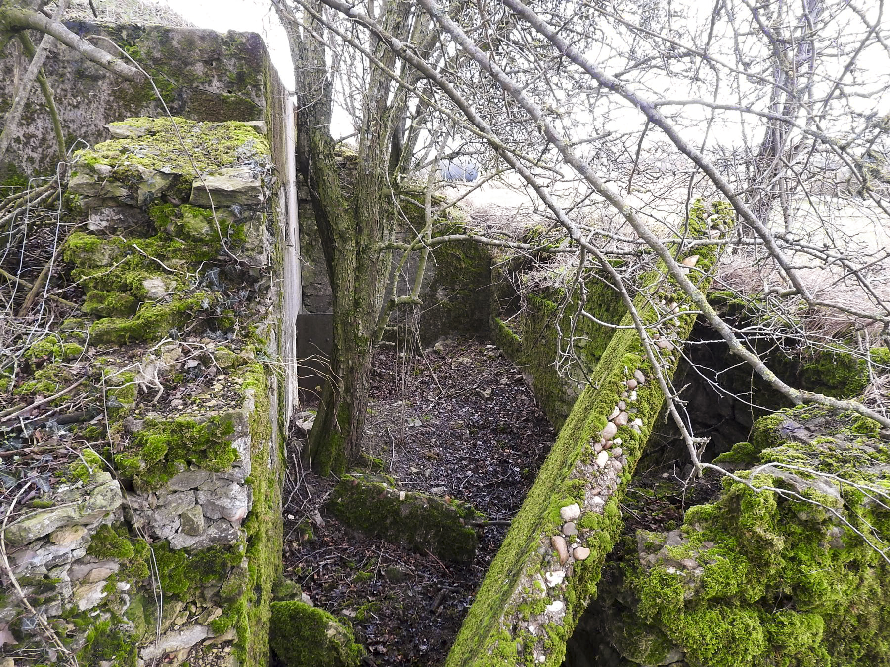 Ligne Maginot - BB25 - HEIMSTOCK EST 6 - MARCELLE - (Blockhaus pour arme infanterie) - L'accès au blockhaus. L'entrée à gauche, le poste de tir pour FM à droite.