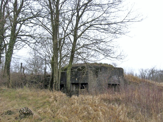 Ligne Maginot - DIEDING 1  (AVANT POSTE) - (Blockhaus pour arme infanterie) - Vue générale