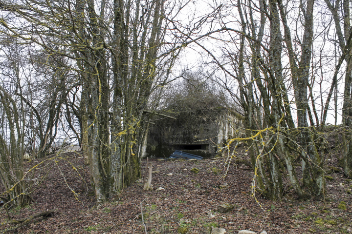 Ligne Maginot - Vue générale - Vue générale