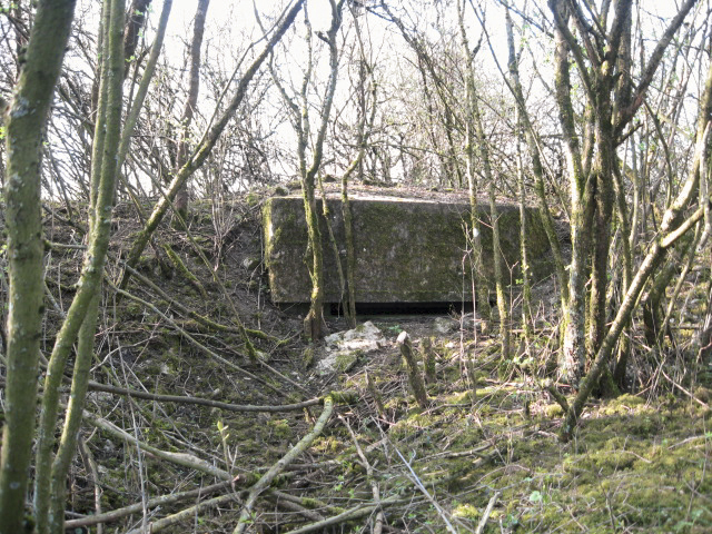 Ligne Maginot - FUERST 9 - (Observatoire d'infanterie) - Vue générale