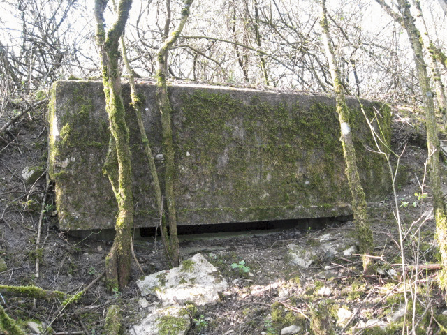 Ligne Maginot - FUERST 9 - (Observatoire d'infanterie) - Créneau d'observation