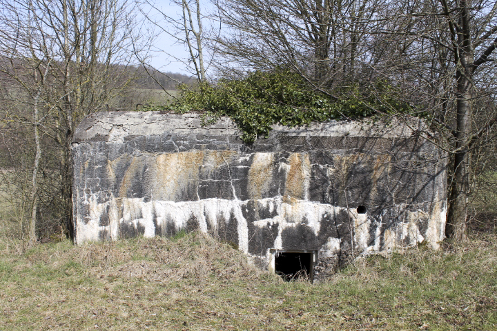 Ligne Maginot - GALLENMUEHLE 1 - (Blockhaus pour arme infanterie) - L'entrée