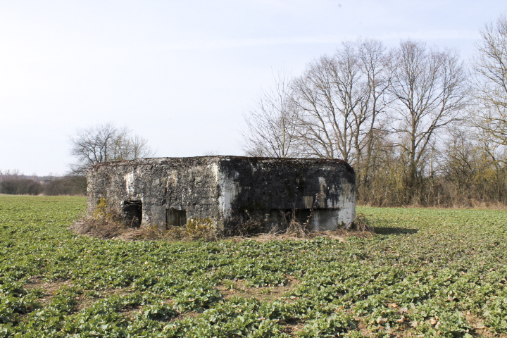 Ligne Maginot - GARE DE KALHAUSEN 2 - (Blockhaus pour arme infanterie) - Vue générale