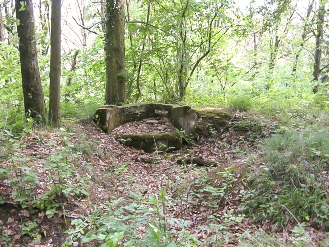 Ligne Maginot - GERSWEILER WALD - (Observatoire indéterminé) - 