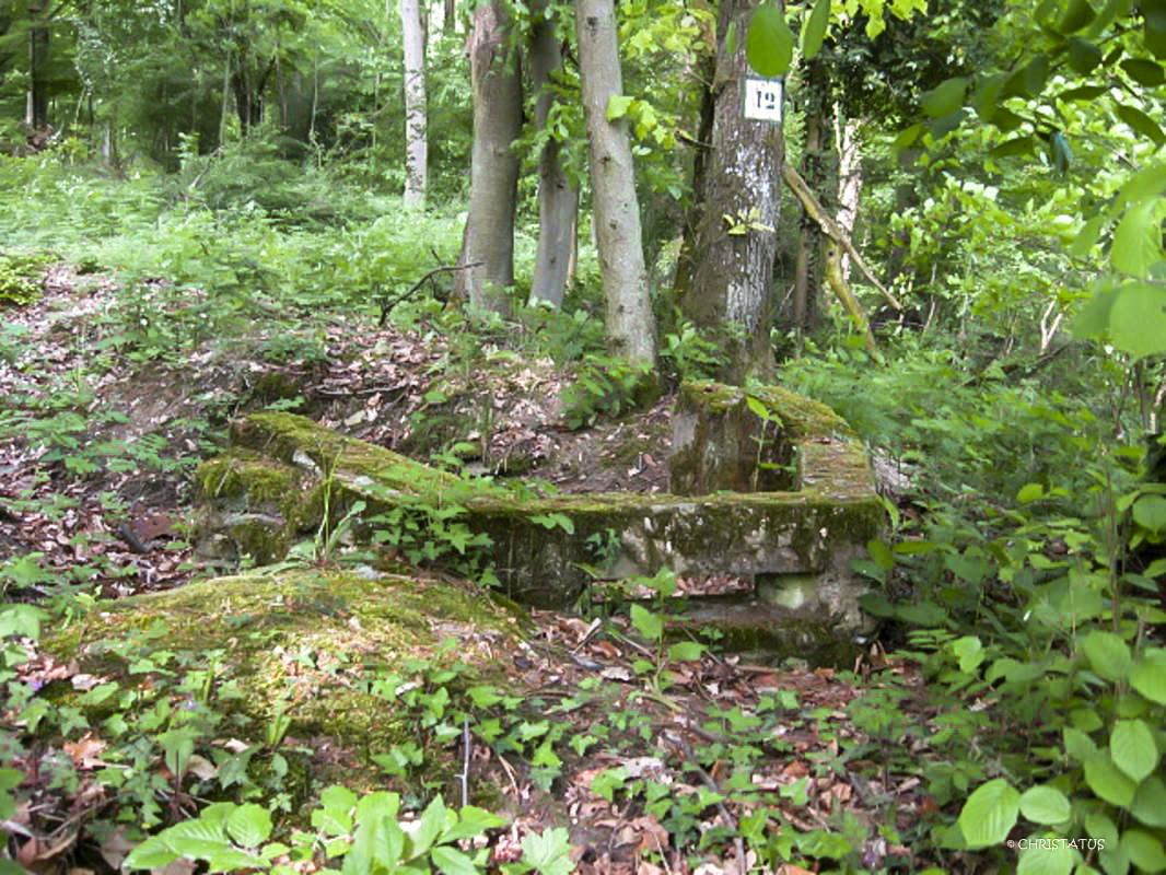 Ligne Maginot - GERSWEILER WALD - (Observatoire indéterminé) - 