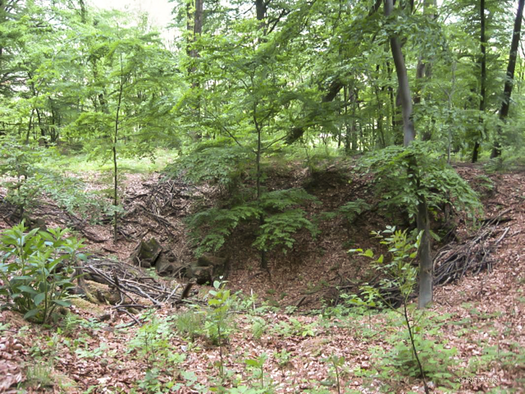 Ligne Maginot - GERSWEILER WALD - (Observatoire indéterminé) - 