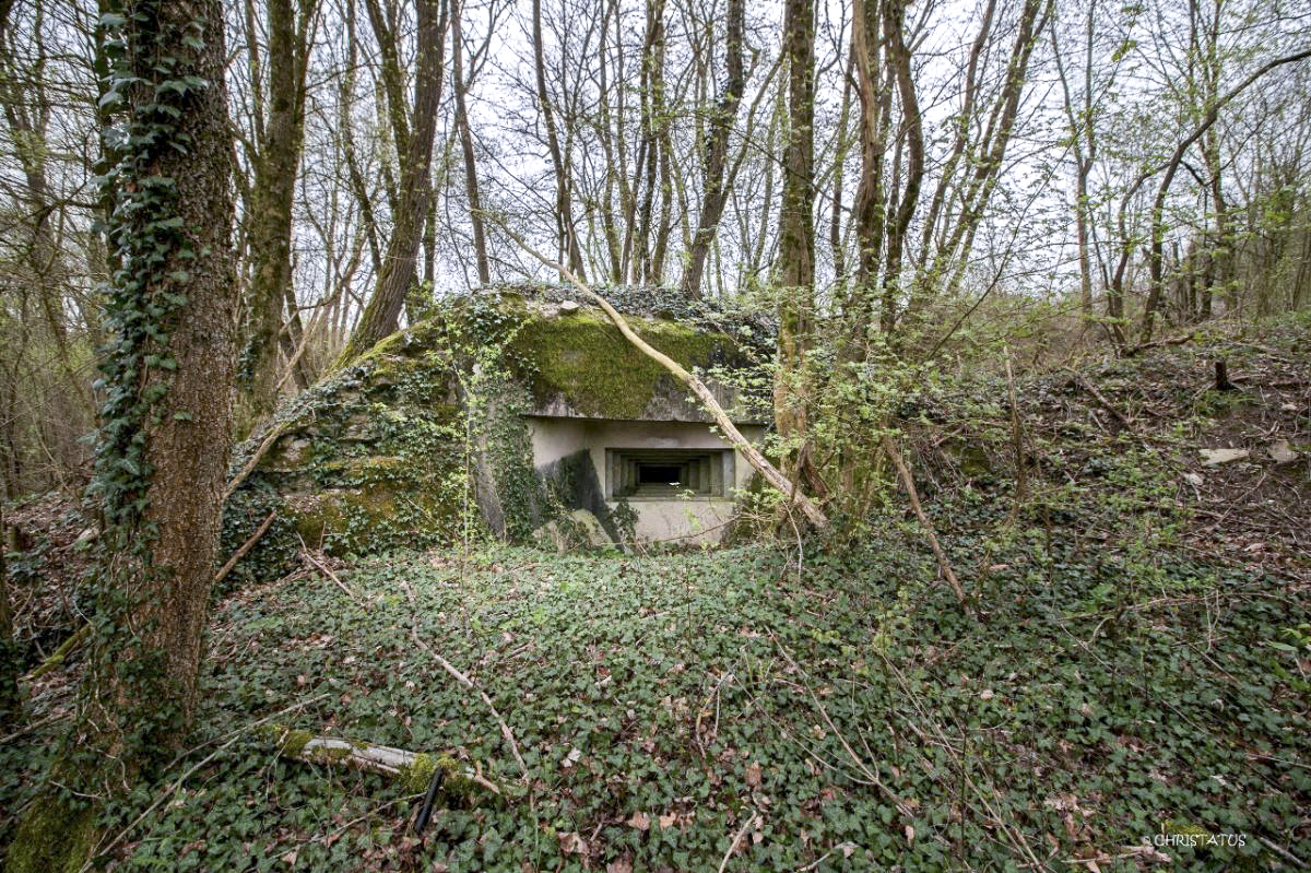 Ligne Maginot - GROSSWALD 4 - (Blockhaus pour arme infanterie) - 