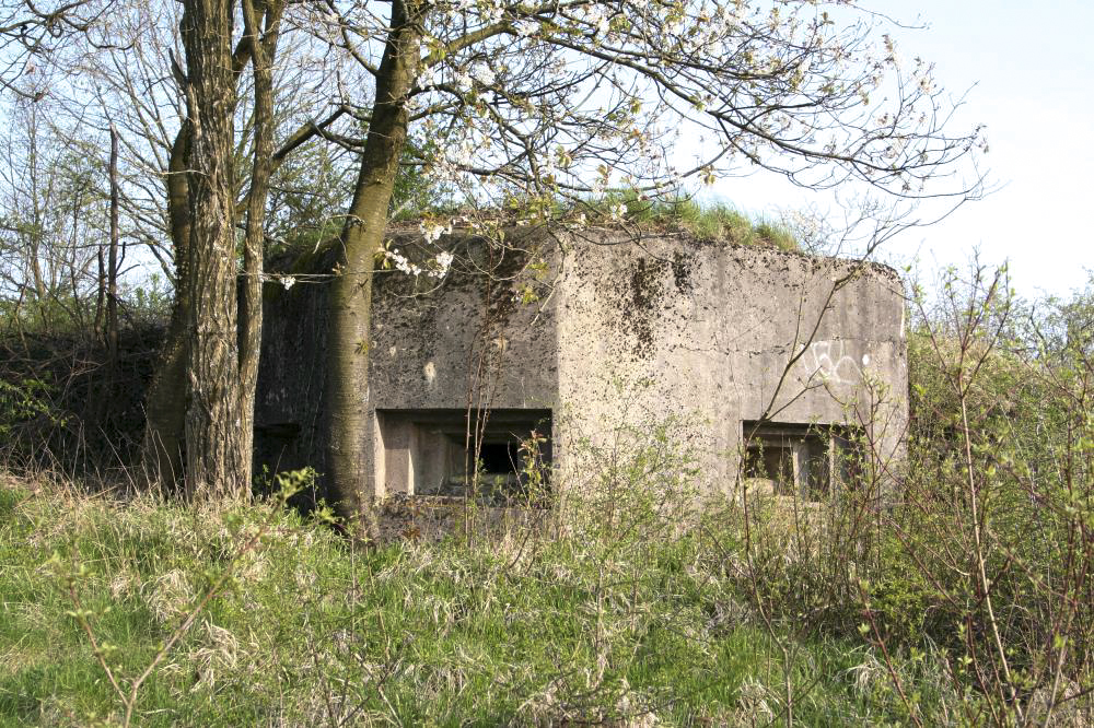 Ligne Maginot - DIEDING 1 (Avant Poste) - (Blockhaus pour arme infanterie) - Vue d'ensemble