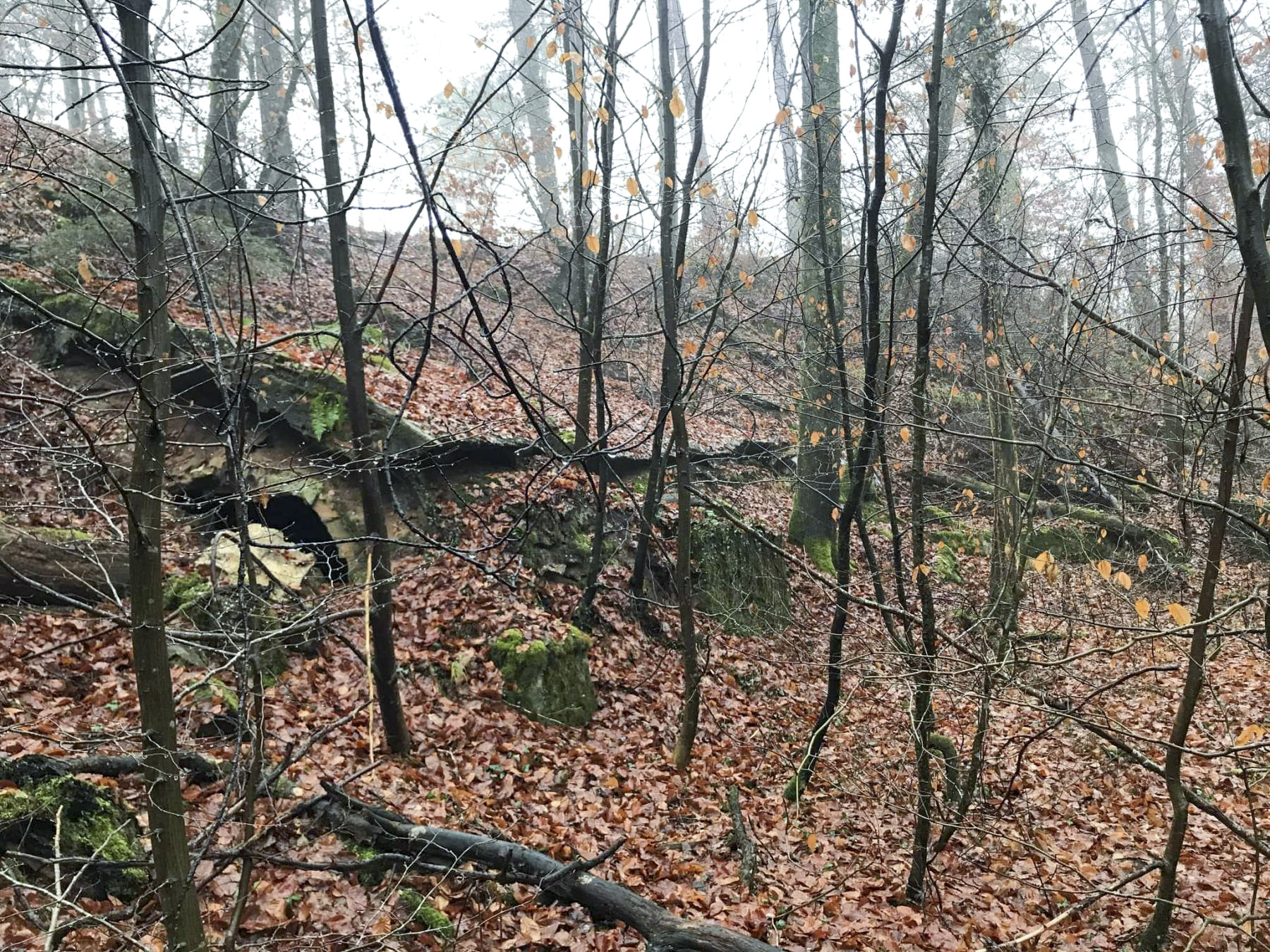 Ligne Maginot - ERZLACH - (1/69° RAMF) - (PC) - Le groupe de 3 alvéoles au pied du ravin